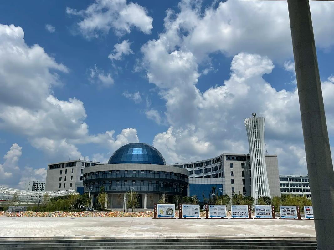 岳阳现代服务职业学院应用服务的发展与前景